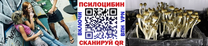 Псилоцибиновые грибы Magic Shrooms  Полярный 